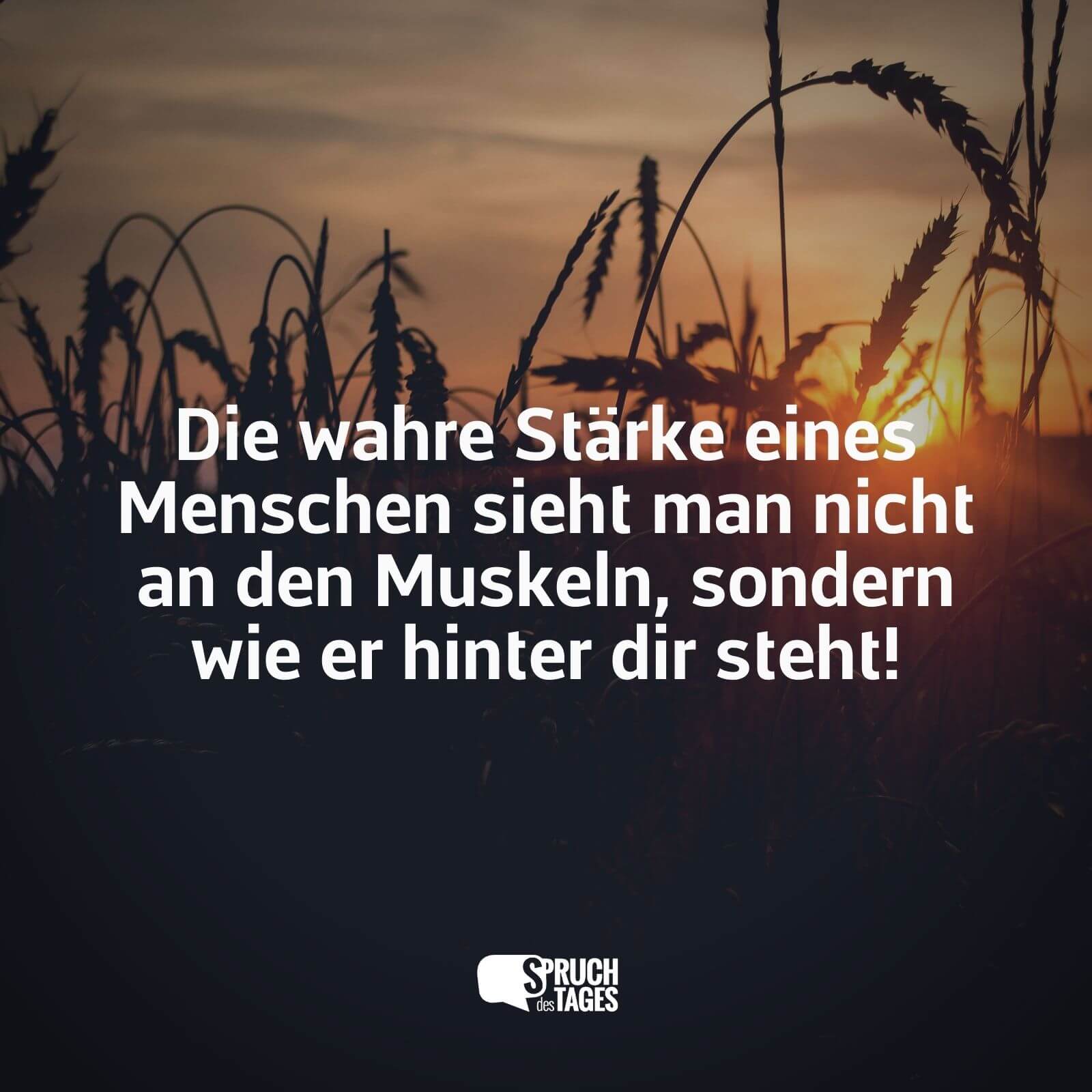 Cover: Wahre Stärke kommt von ihnen